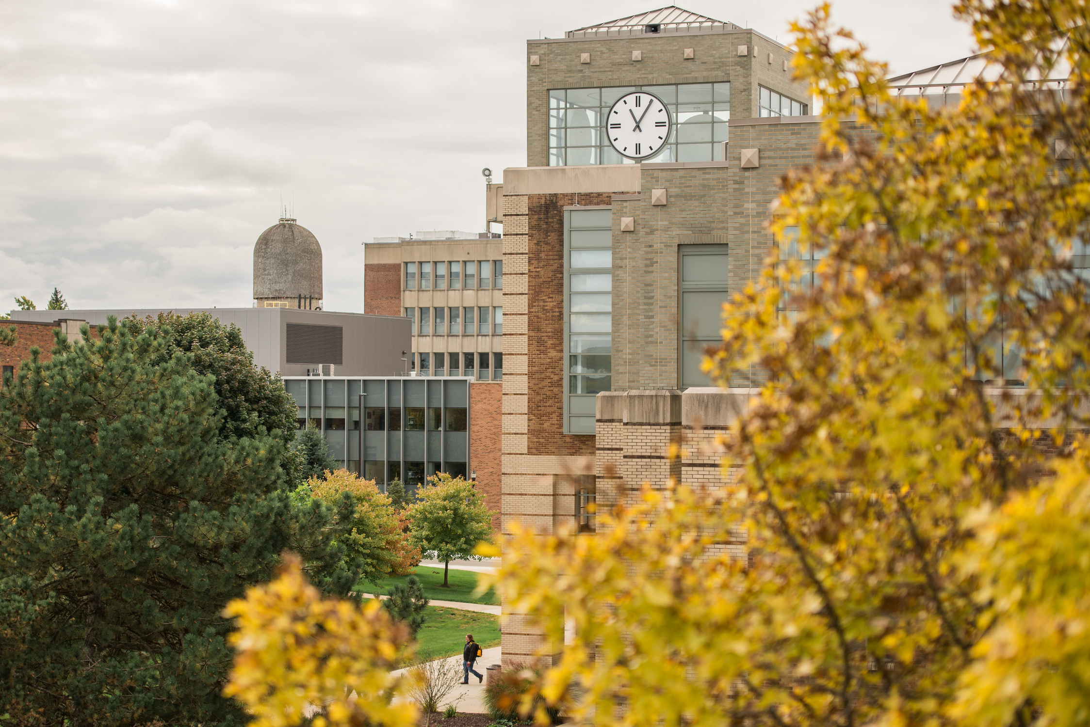 the Halle Library clocktower with fall-colored trees in the foreground