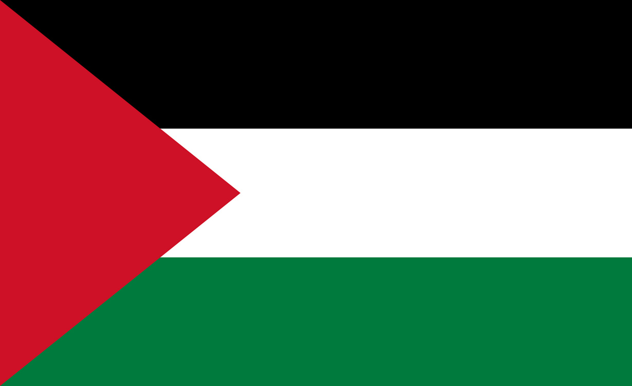 the flag of Palestine