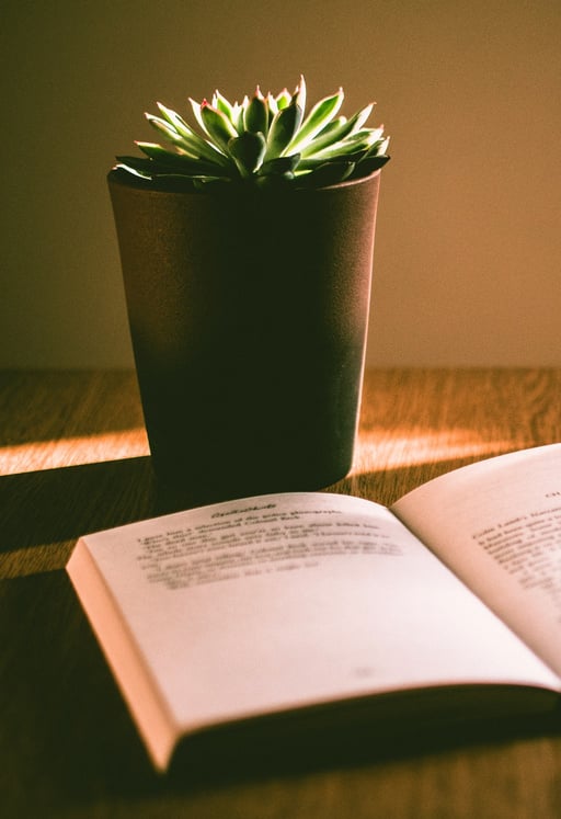 a potted succulent plant sits on a table next to an open book