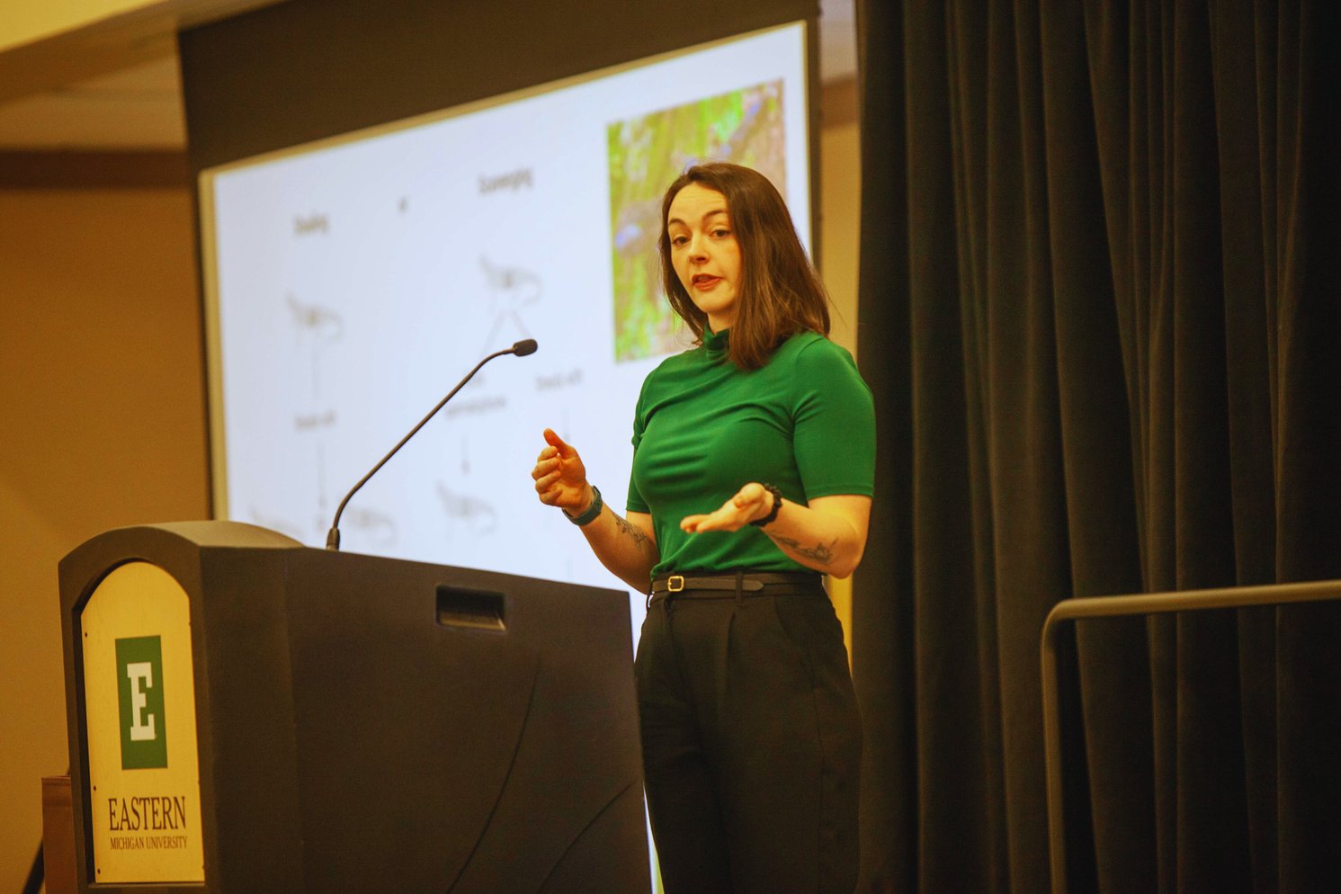 a person giving a presentation in front of a screen