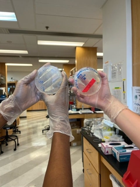 two people wearing gloves holding up plastic petri dishes in a lab