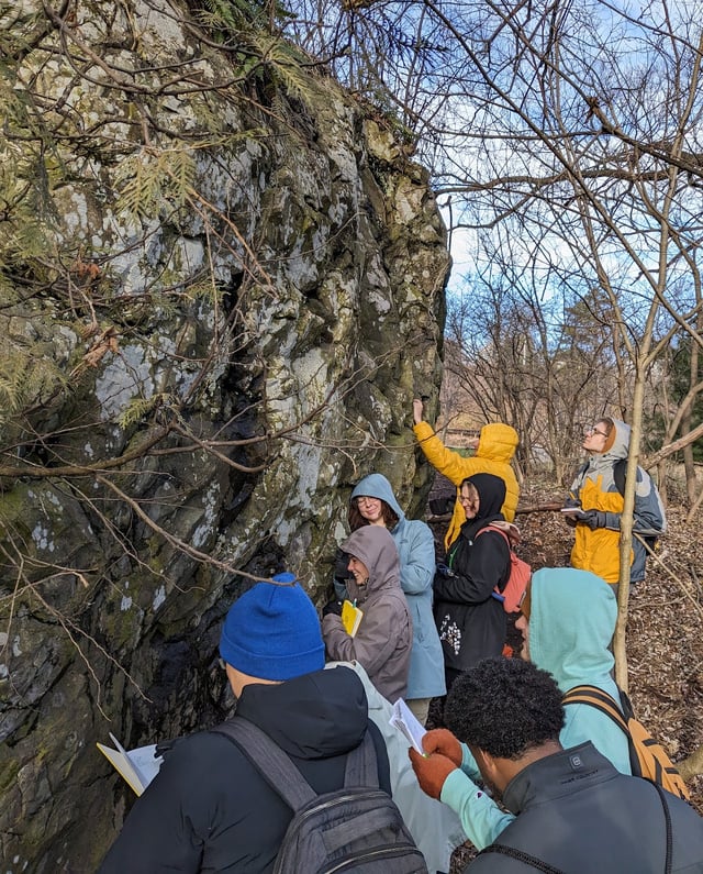 a group of people looking at rocks in the woods