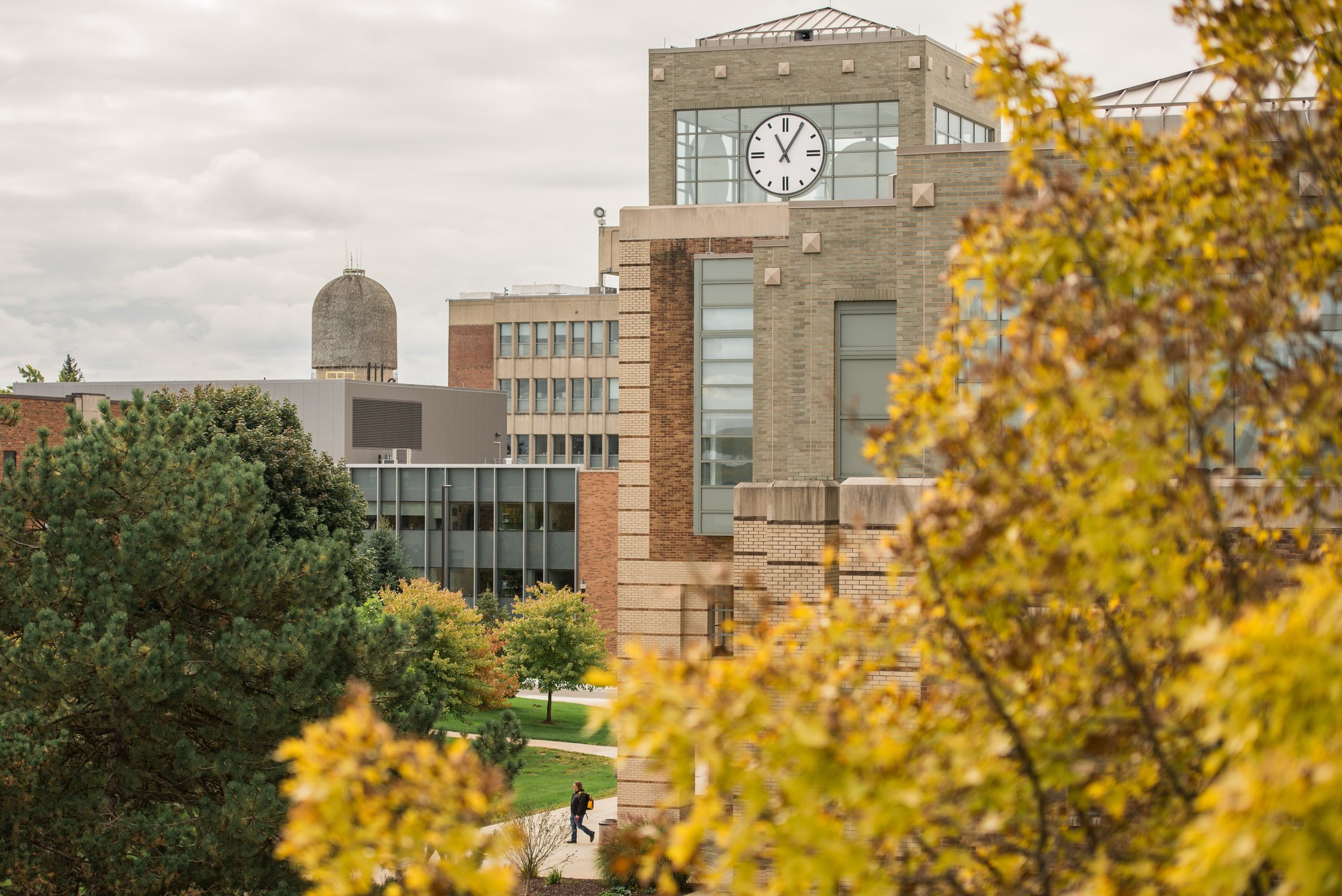 the Halle Library clocktower with fall-colored trees in the foreground